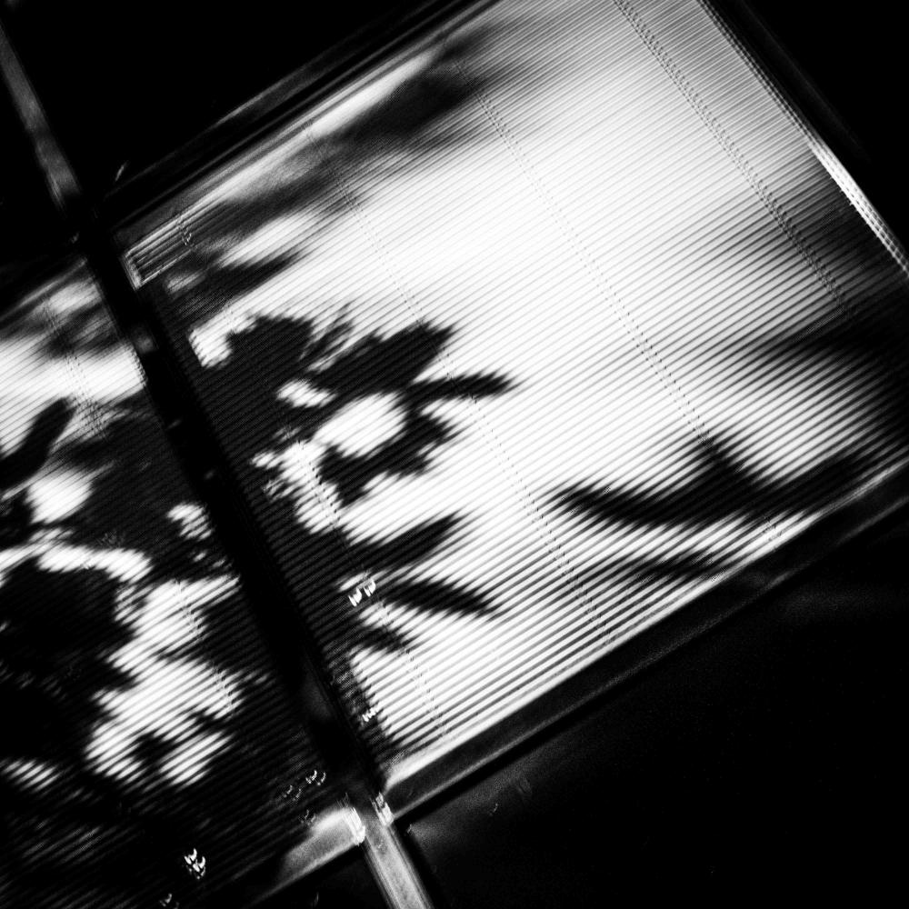 Cycle 2-2 APOTHEOSIS.jpg