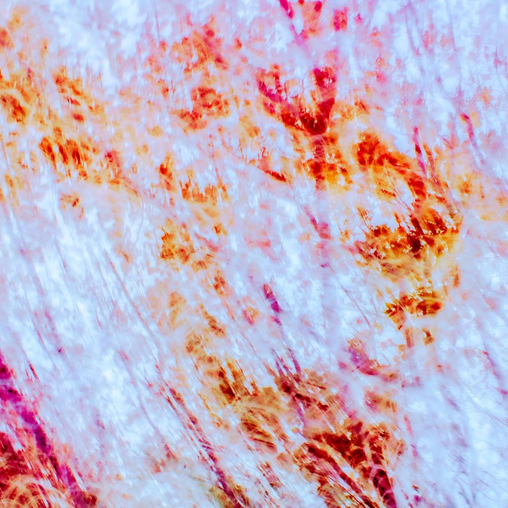 Cycle 4-2 Leaves.jpg